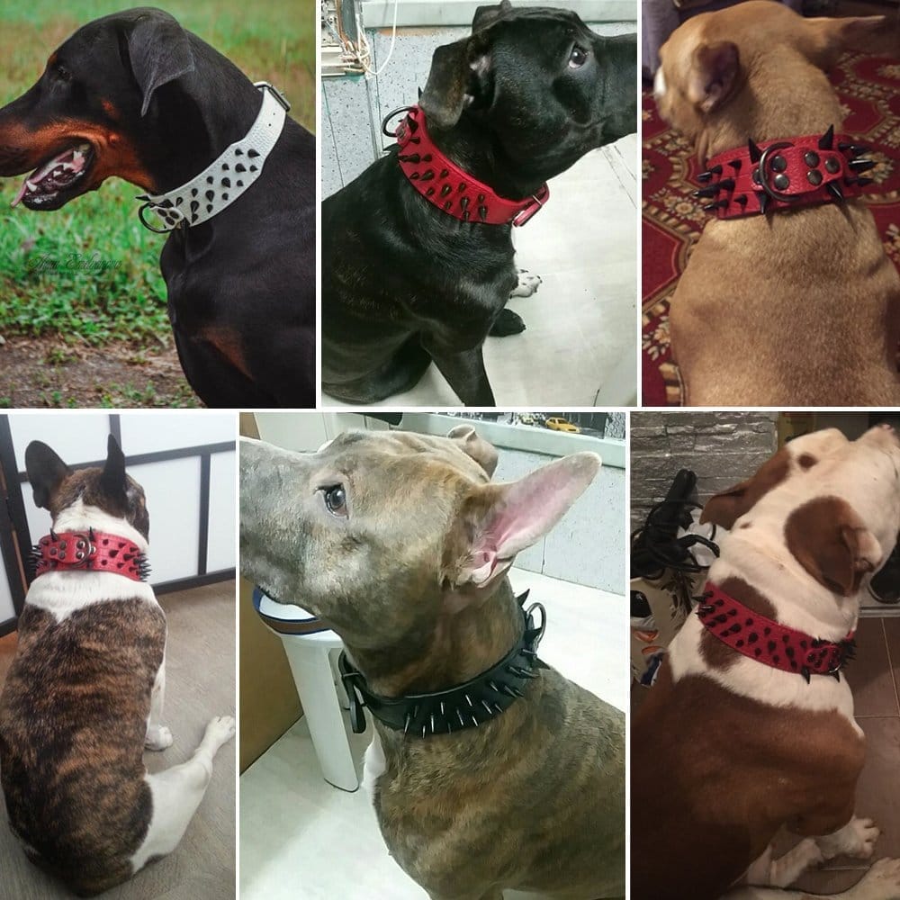 Adjustable Spiked Studded Dog Collar - Image 17