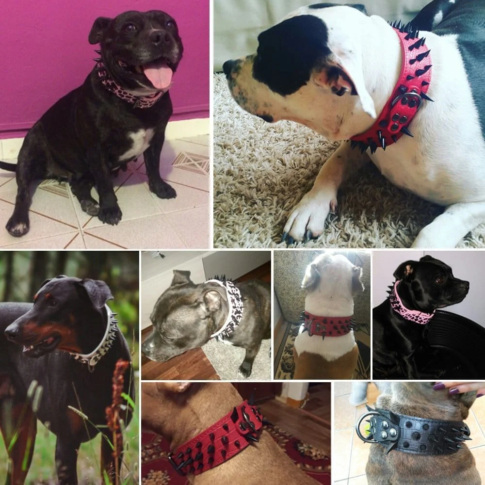 Adjustable Spiked Studded Dog Collar - Image 18