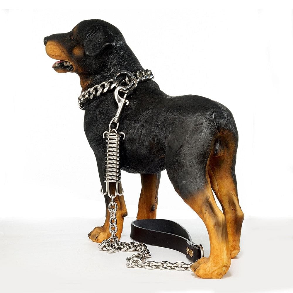 Gold/Silver Cuban Link Dog Rope Leash - Image 7
