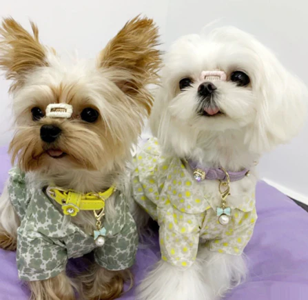 Luxury Dog Collar Bling - Image 10