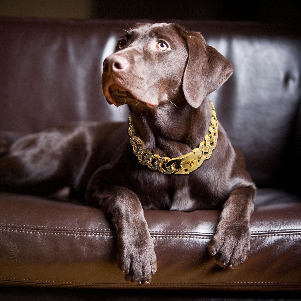 Medium/Large Gold Cuban Link Dog Collar - Image 11